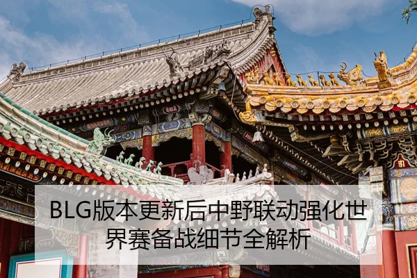BLG版本更新后中野联动强化世界赛备战细节全解析 - MangoSports