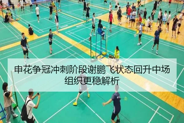 申花争冠冲刺阶段谢鹏飞状态回升中场组织更稳解析 - MangoSports